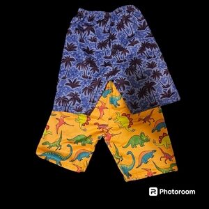 Dinosaur and tree Boy shorts 5/6T